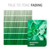 Pastelowa farba do włosów - Wella Color Fresh Neverseen Green 60ml